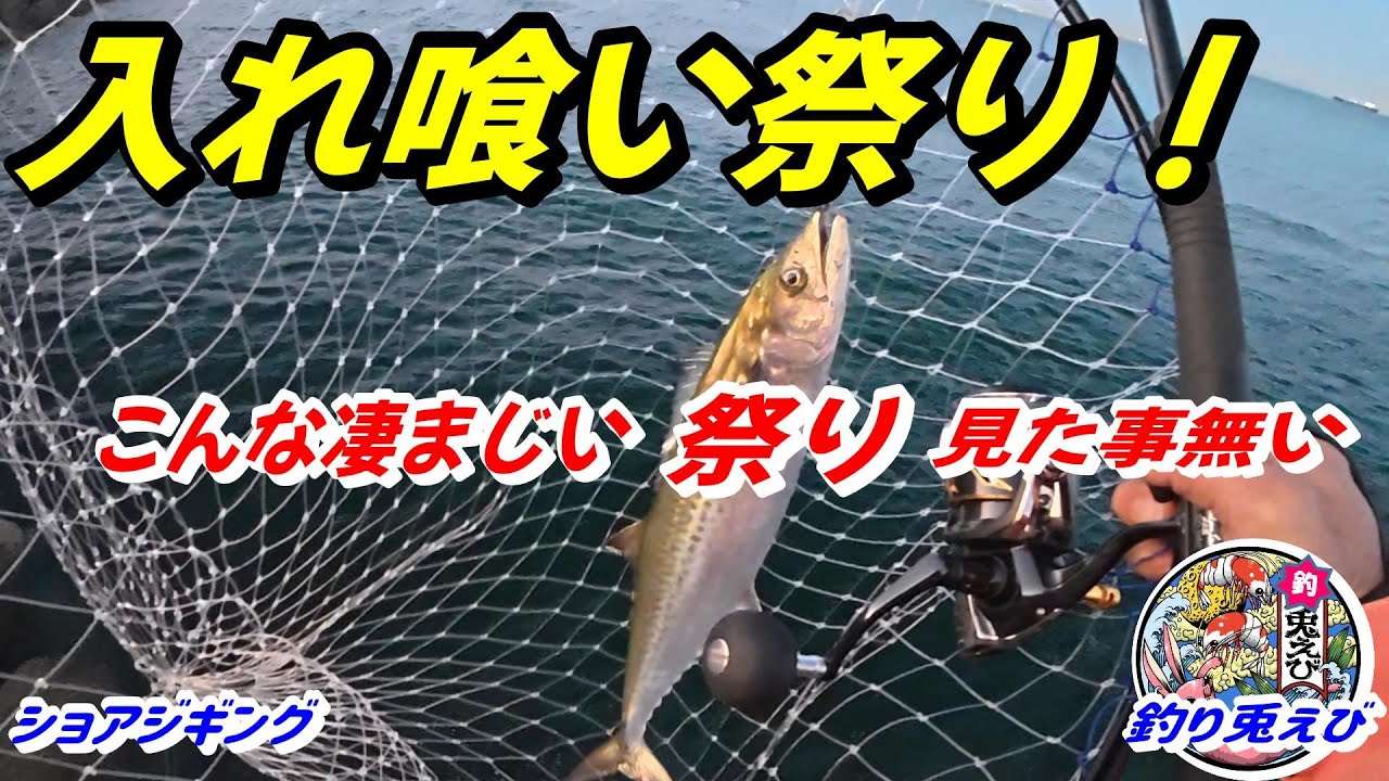 ブリ狙いでまさかの【サゴシ祭り】衝撃の釣果！！