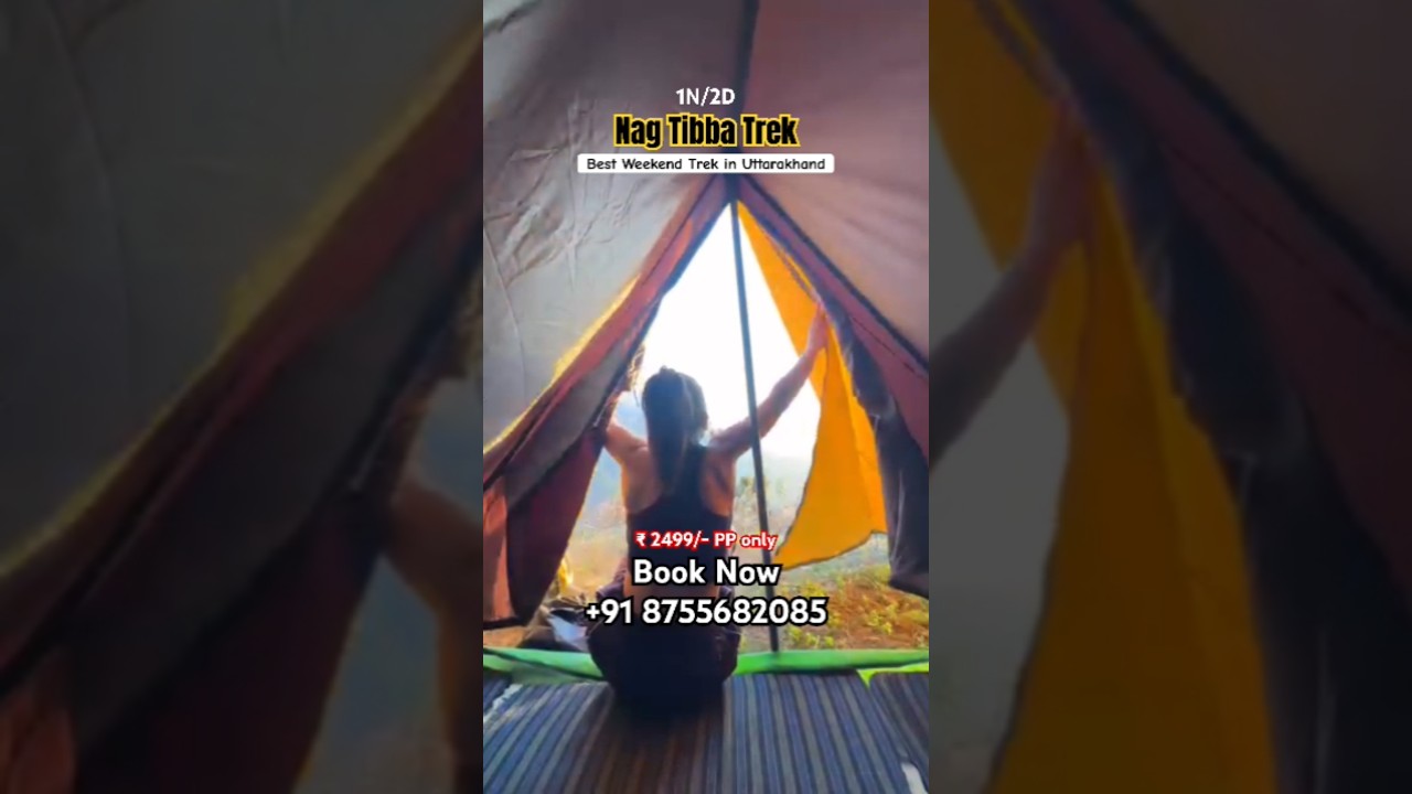 nagtibba trek package From Dehradun/ Delhi #nagtibba #nagtibbatrek #trending #viralvideo