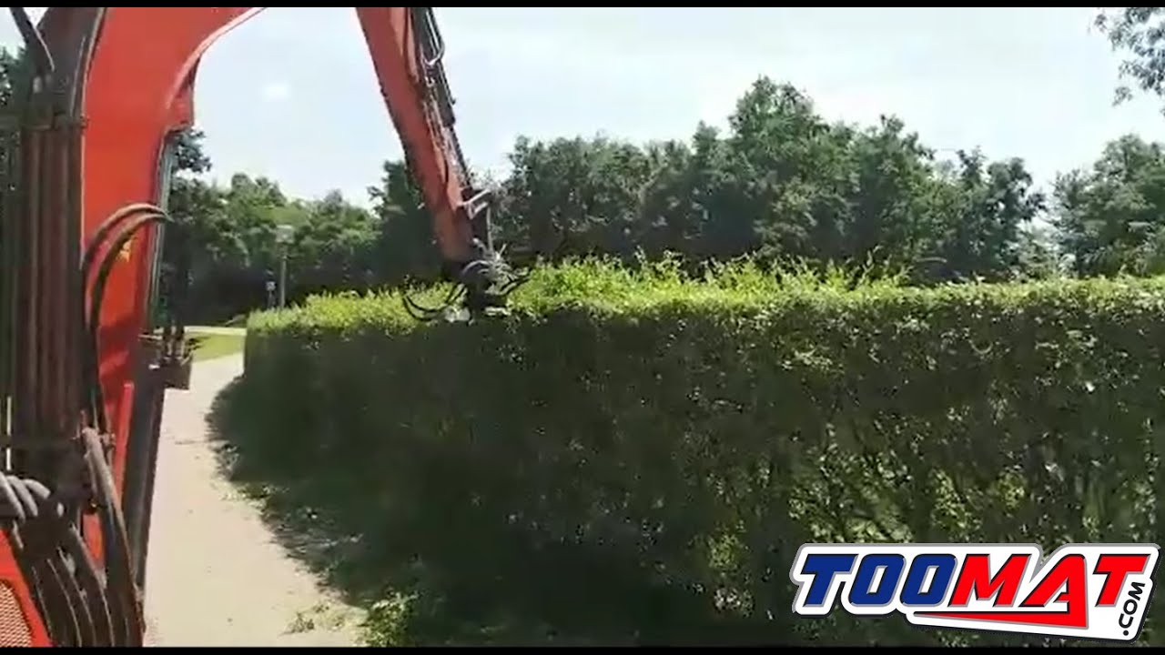 Démo taille haie barre de coupe sur mini pelle