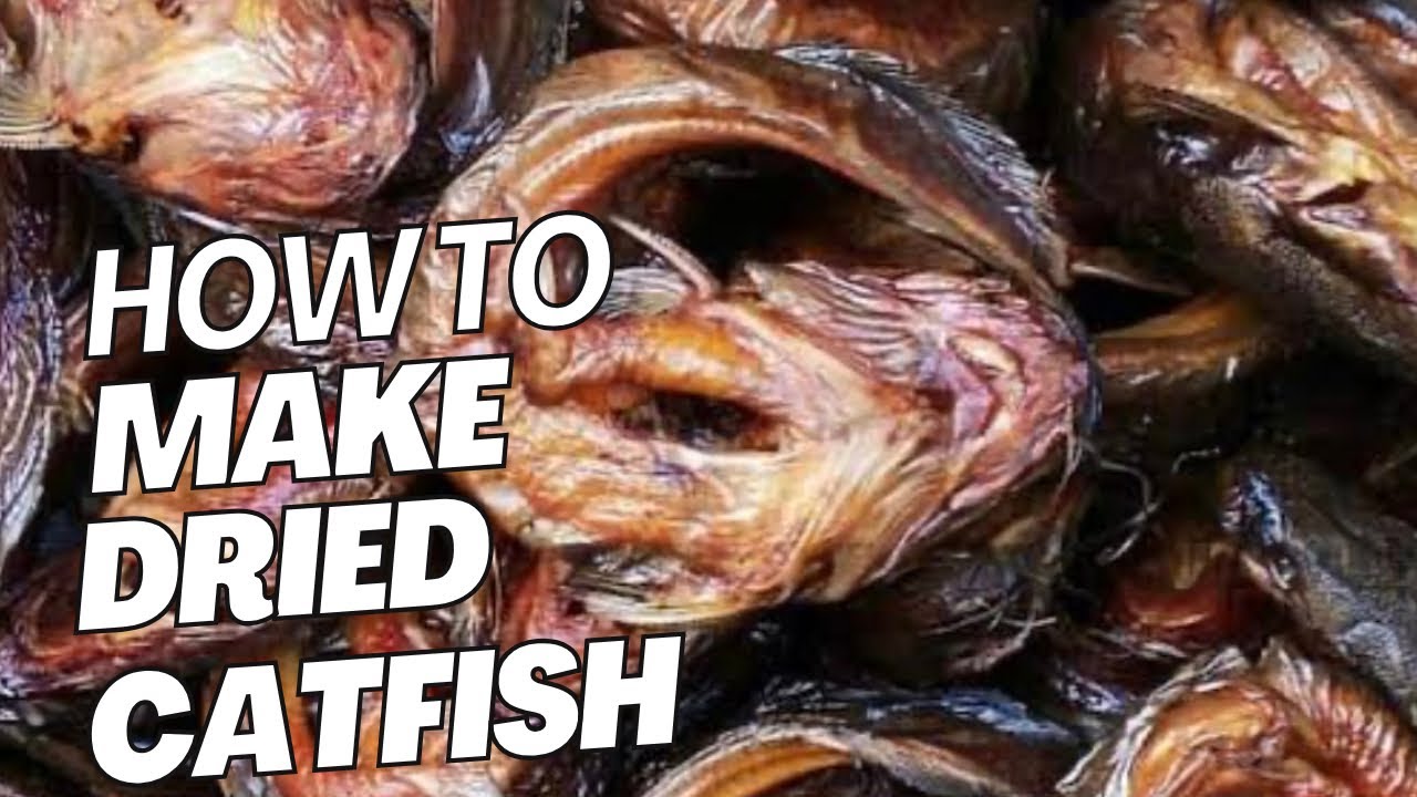 😋WATCH HOW I MADE MY DRIED CATFISH FROM SCRATCH #driedfish #fishbusiness #food#diyfarming
