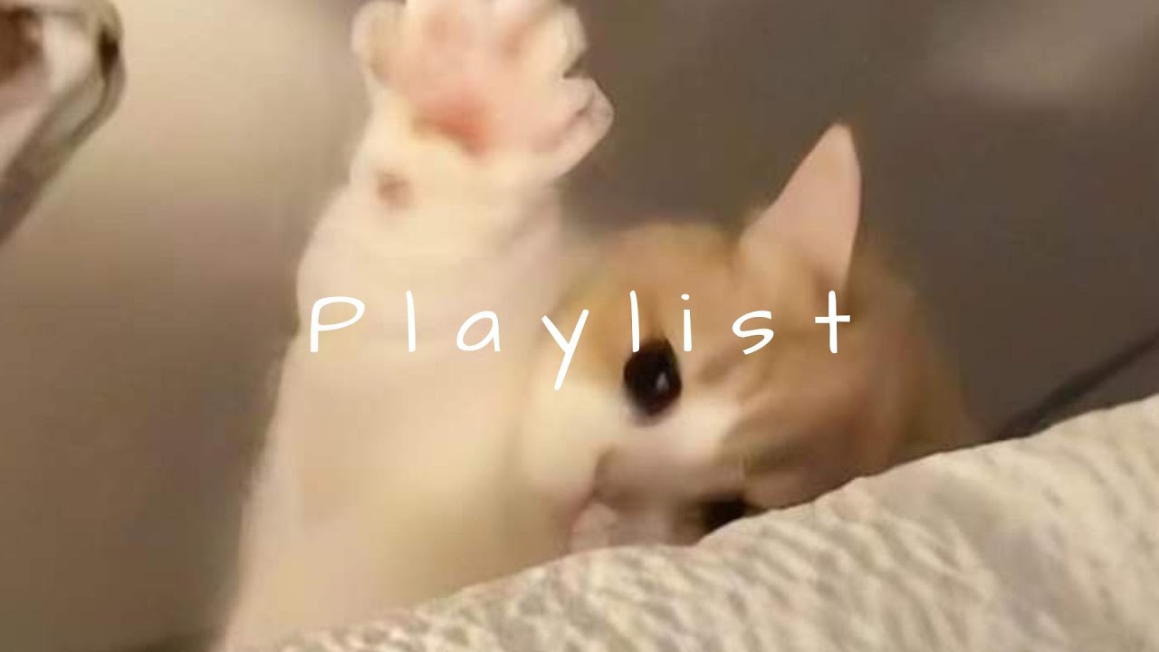 𝐏𝐥𝐚𝐲𝐥𝐢𝐬𝐭 릴스에서 건진 느좋 감성 모음 🤍🎧 | reels vibe · chill r&b · mood