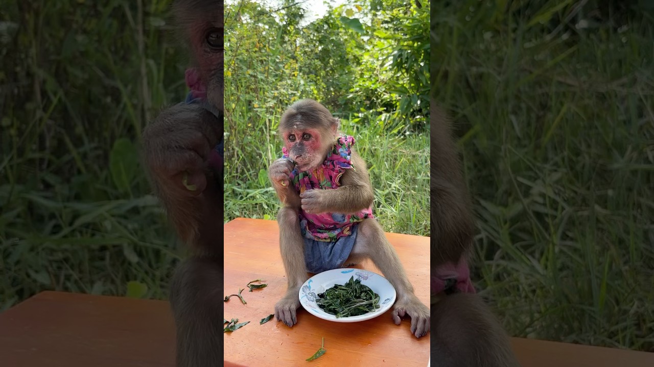 Icy so happy eating in fresh air 🍽️🌿