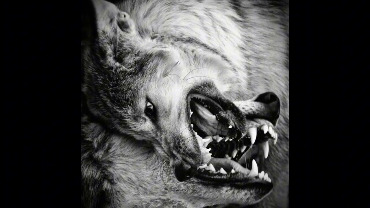 Dark Boom Bap Type Beat - 