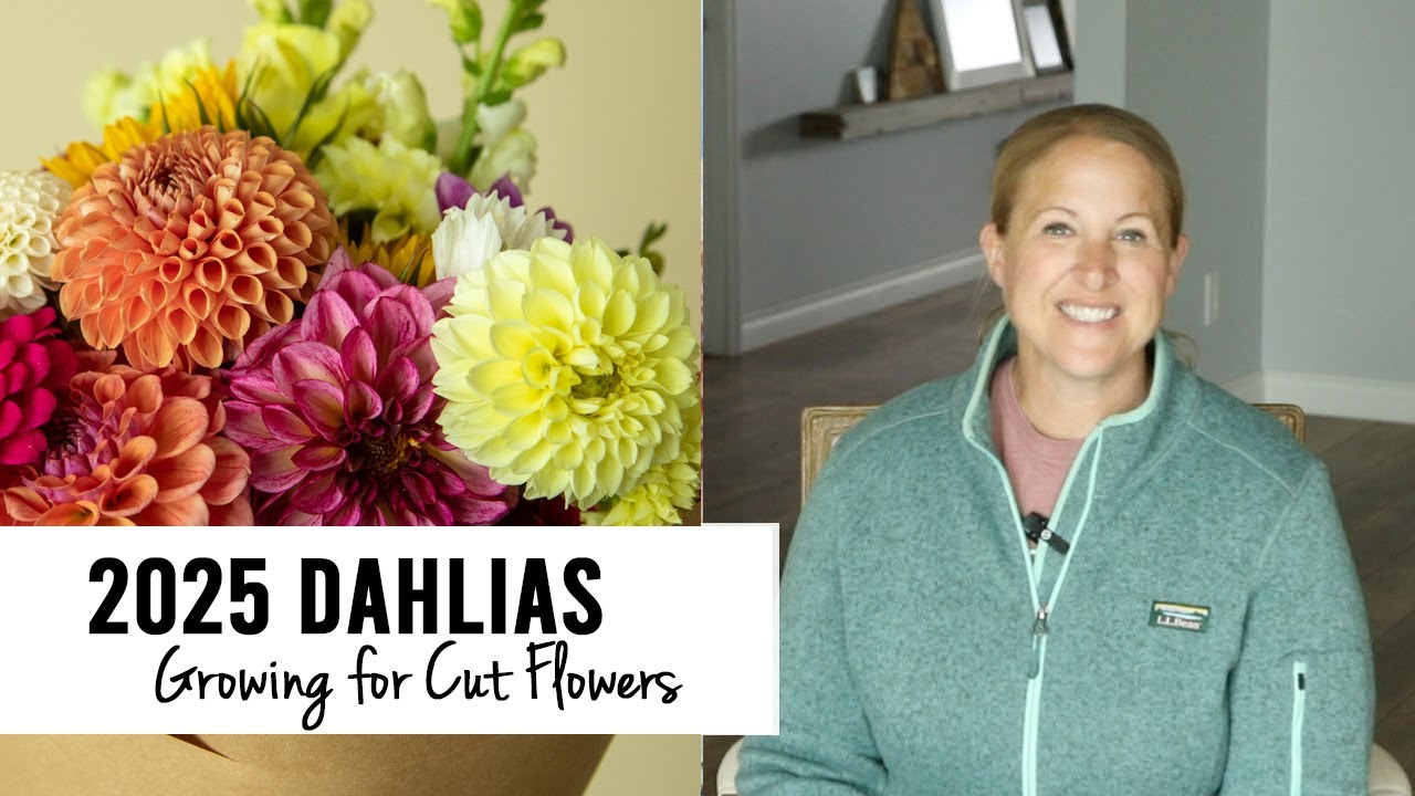 2025 Dahlias - What I'm Growing For Cut Flowers!  Sunshine and Flora