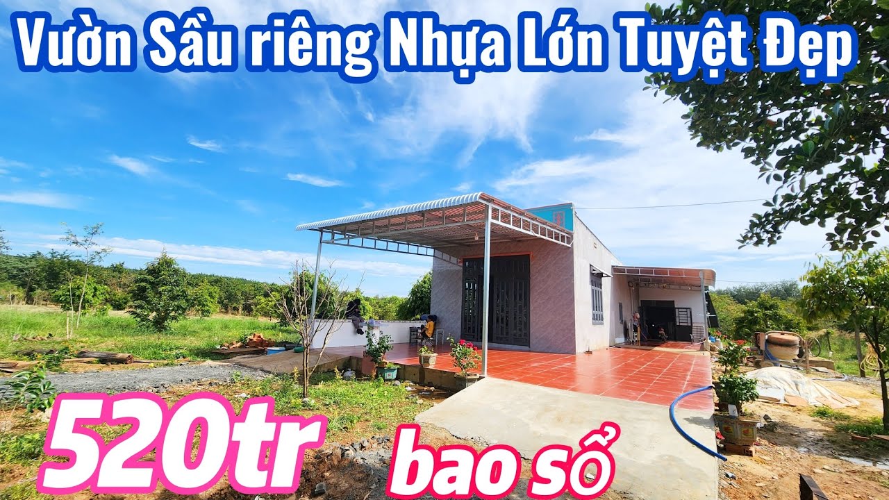 Số 21.Mảnh Vườn Sầu riêng Nhựa Lớn Khu Dân cư Sổ Đẹp Giá hợp lý (26x74=2027m²)giá 520tr bao sổ 