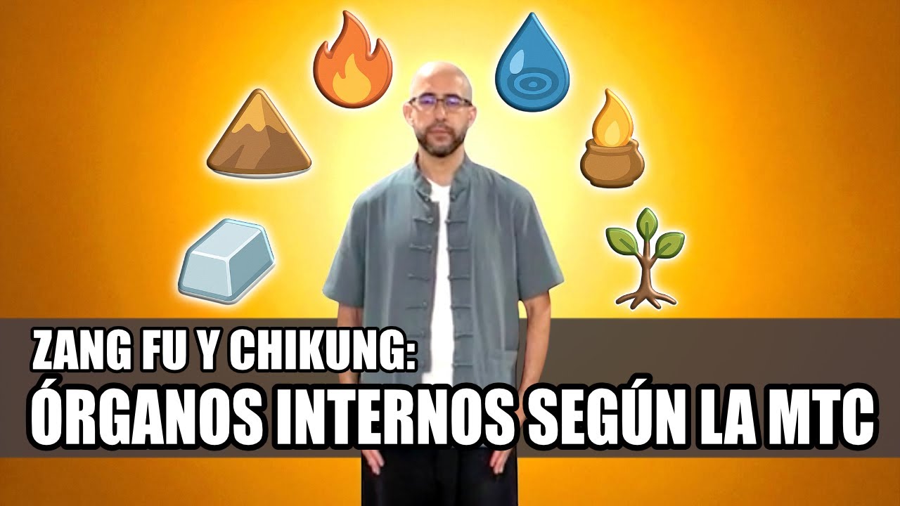 Qué son los Zang Fu en Medicina China y cómo trabajarlos en Chikung | Zang Fu y Chikung