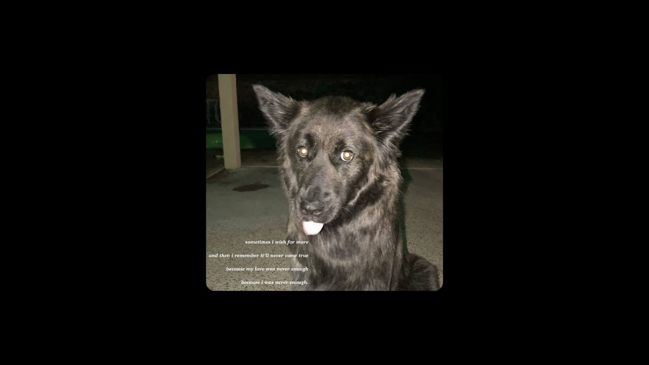 An Actual Gut-Wrenching Playlist ୭ ˚. ᵎᵎ