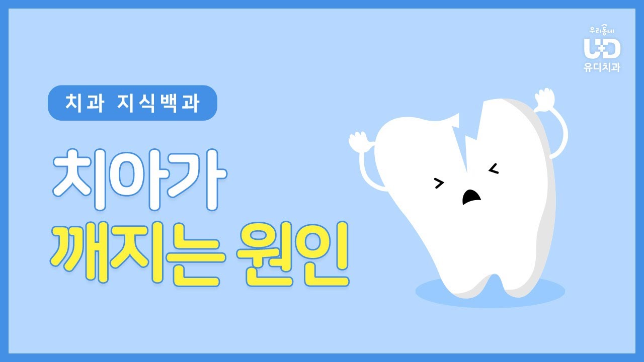 치아가 약해지는 이유! 치아 파절의 원인  | #유디치과지식백과