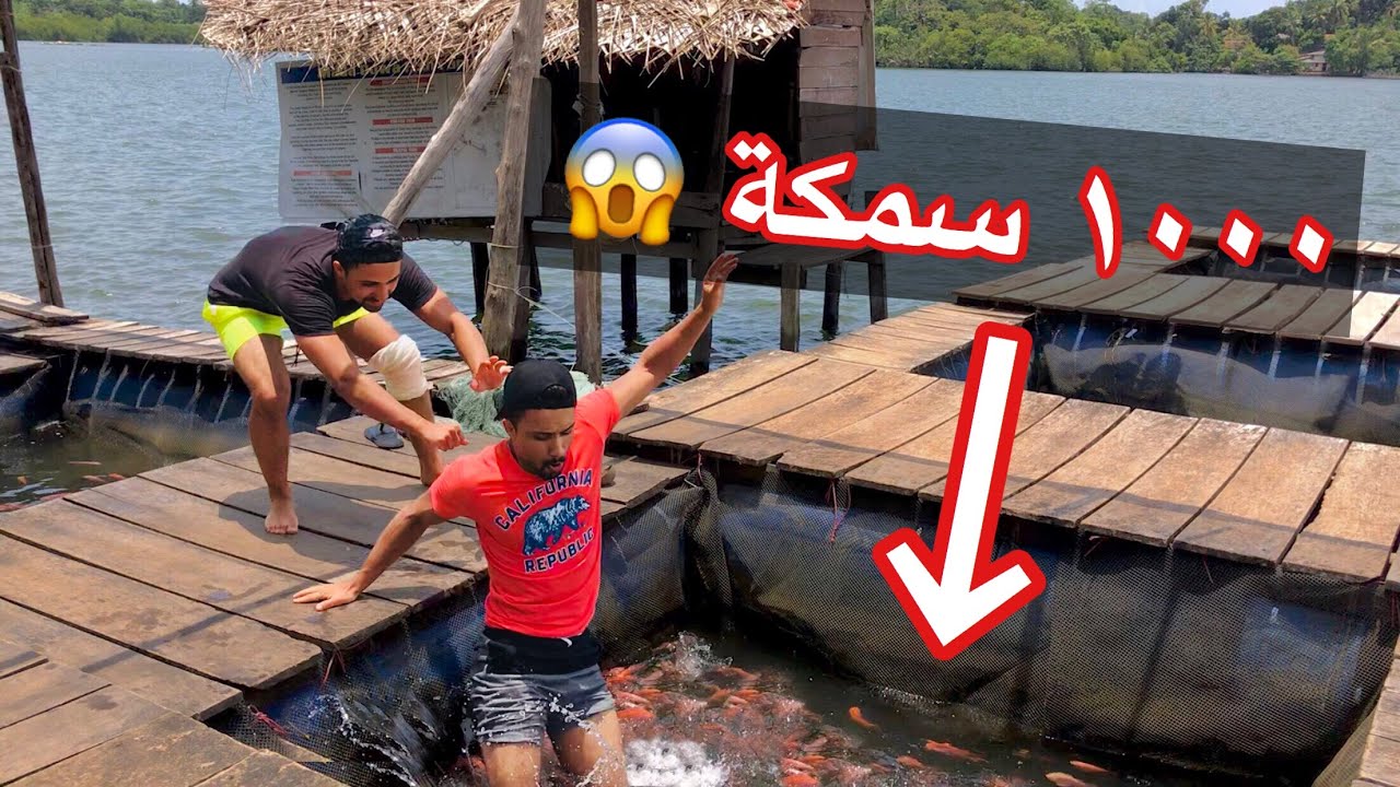 رميته في حوض فيه 1000 سمكة بتعض | HEKAL TWINS