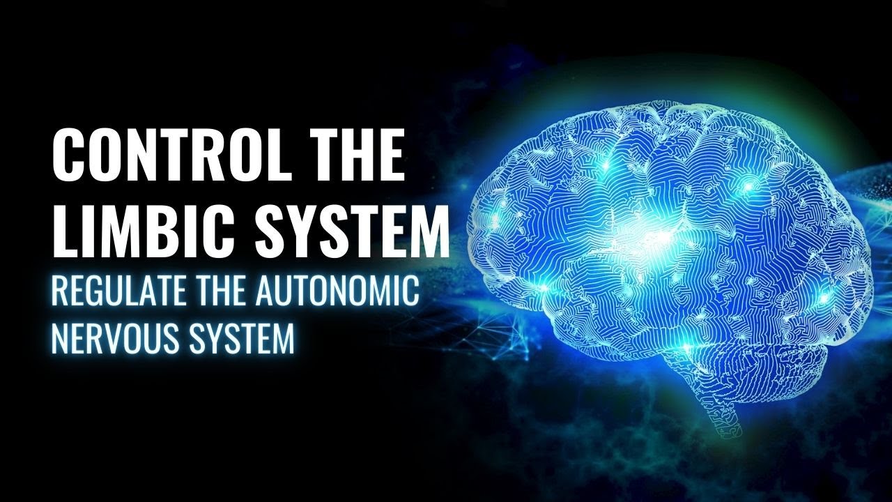Control The Limbic System | Regulate The Autonomic Nervous System | 528 Hz Isochronic Tones