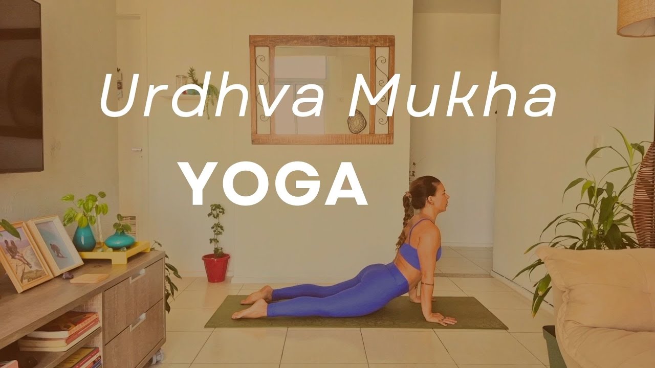 Execução correta |Variações da Cobra (Bhujangasana) do e Cachorro Olhando Para Cima (Urdhva Mukha) -