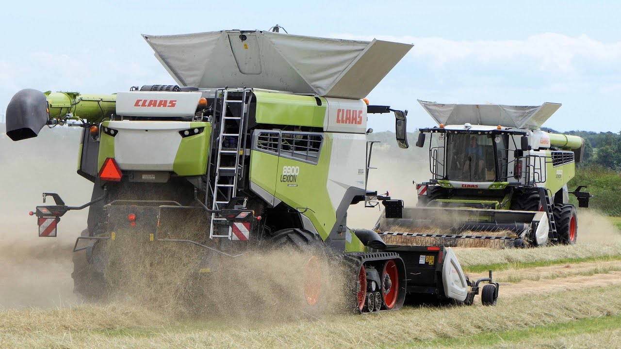 Claas Lexion 8800 & 8900 harvesting Grass Seed with Pick-Up header | Harvest 2024