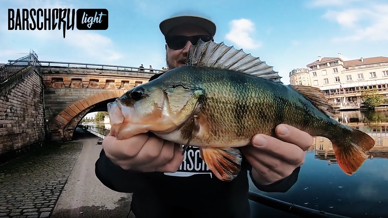 Einmal alles bitte!? Dicke Barsche, Zander, Rapfen, Hecht und Wels beim Streetfishing in Metz