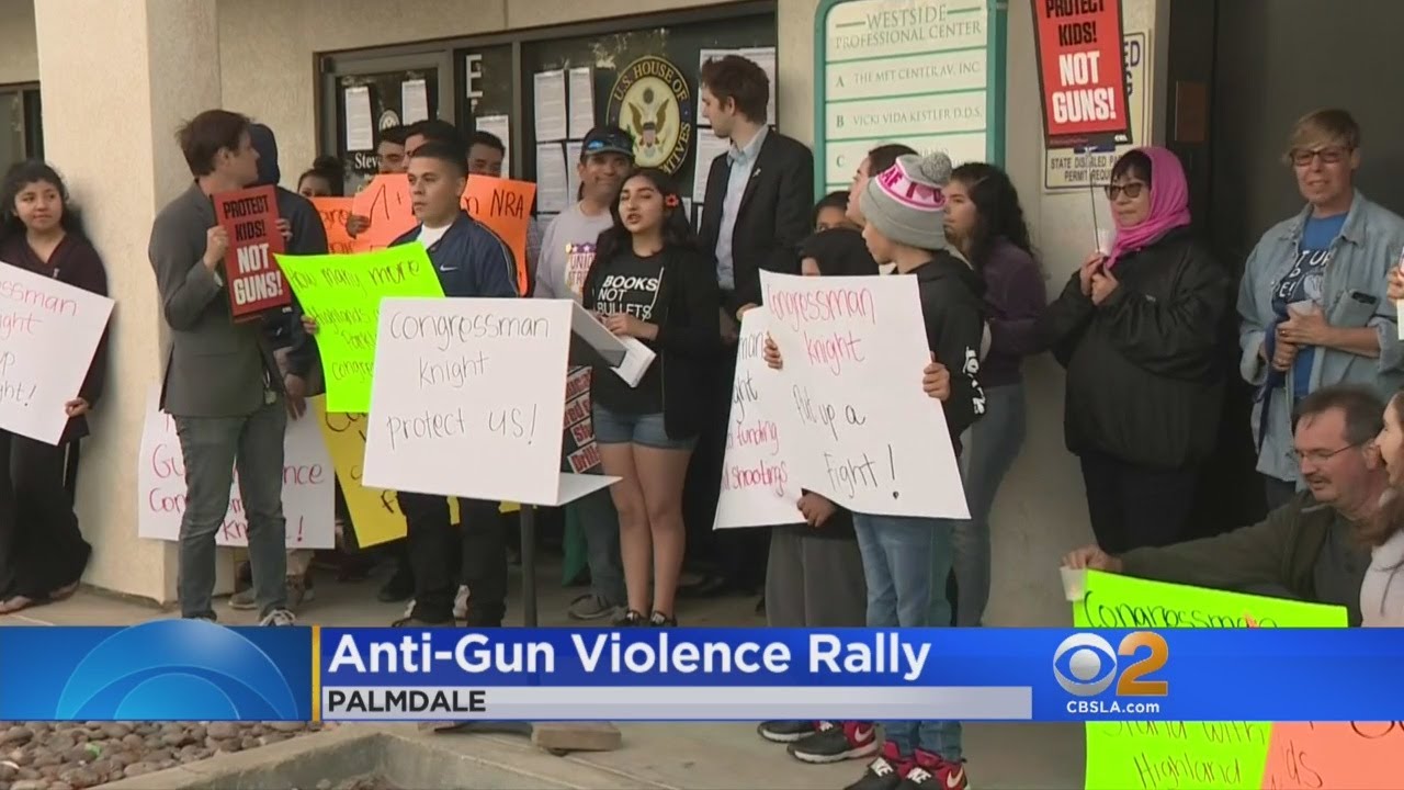 Antelope Valley Resident, Gun Reform Activists Protest At Congressman's Office