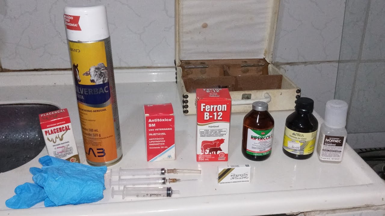 Criação de Ovinos. medicamentos que nao podem faltar
