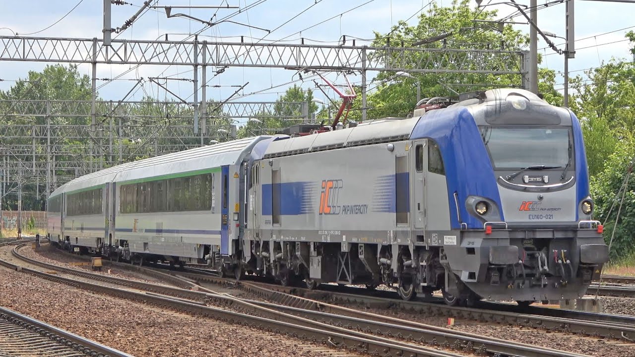Treinen op station Gdynia Główna // Pociągi Gdynia Główna (2024)