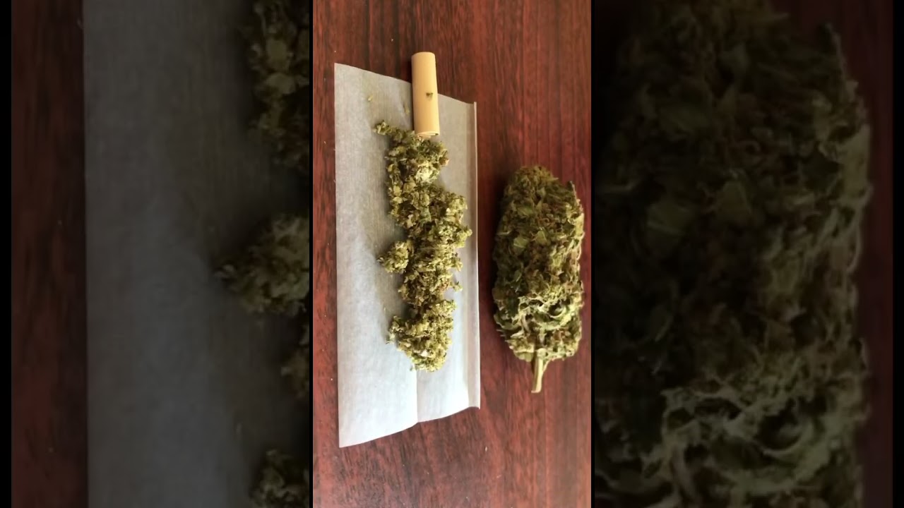 Как сделать джоинт в домашних условиях? #joint #gorilla #Vitalii_kush