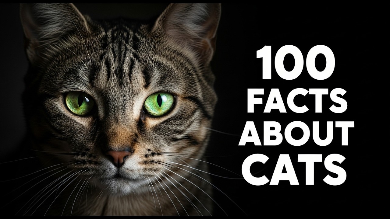 100 Cat Facts That Will Blow Your Mind