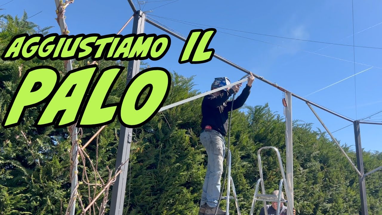 AGGIUSTIAMO IL PALO IN GIARDINO