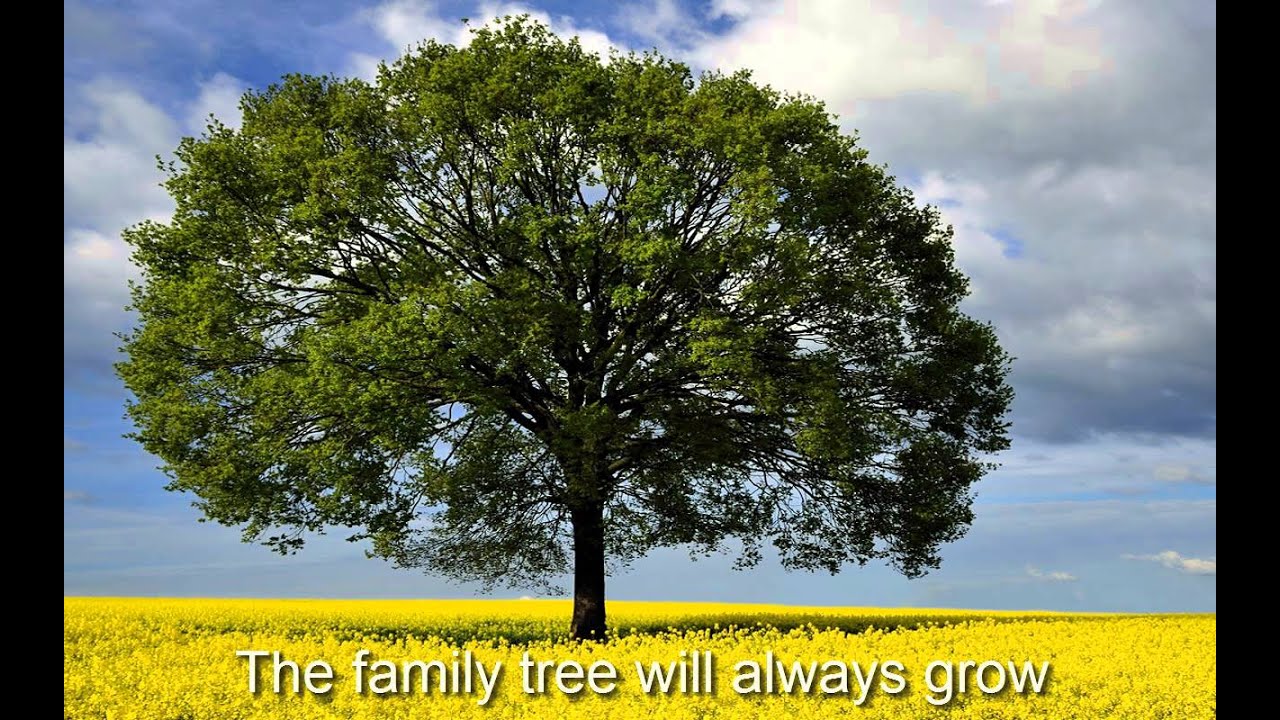 Venice - The family tree (incl. lyrics)