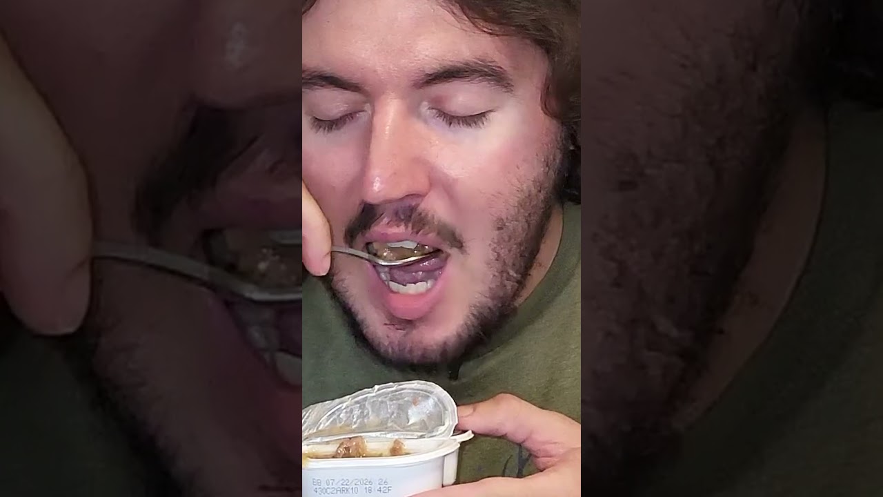 Cat Food vs Dog Food #petfood #tastetest #shorts