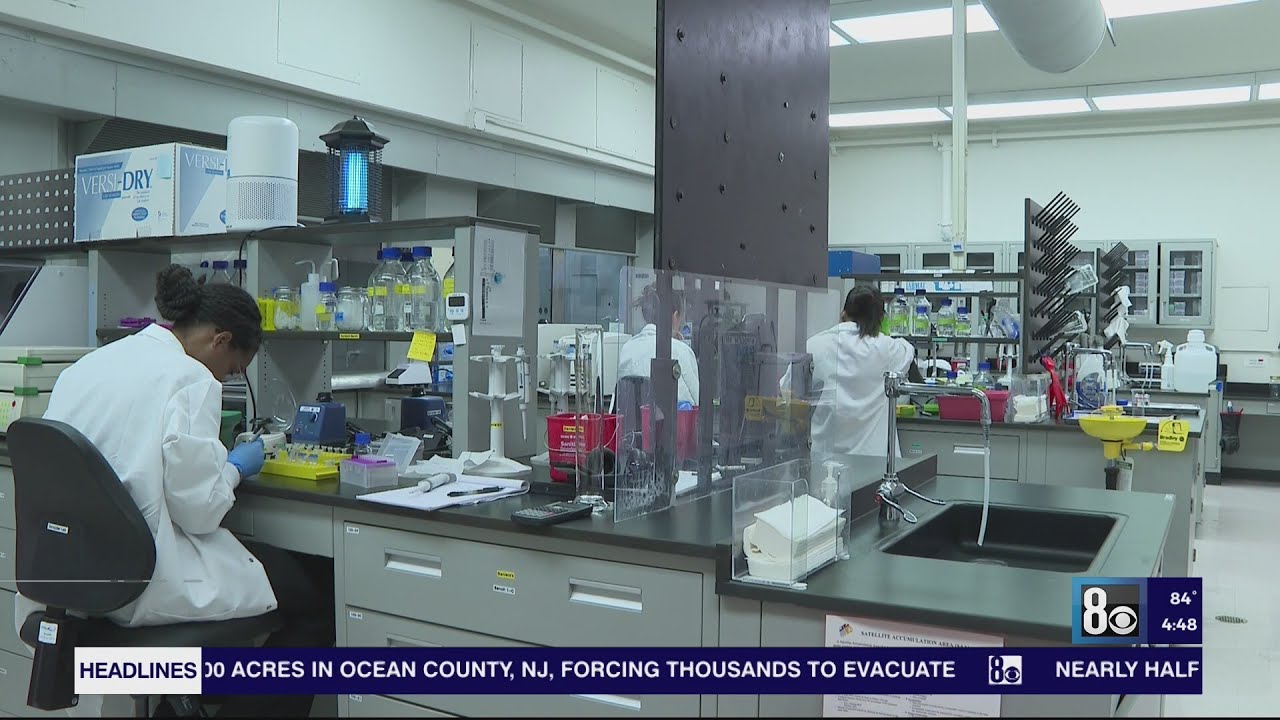 UNLV researchers make new discovery on autism