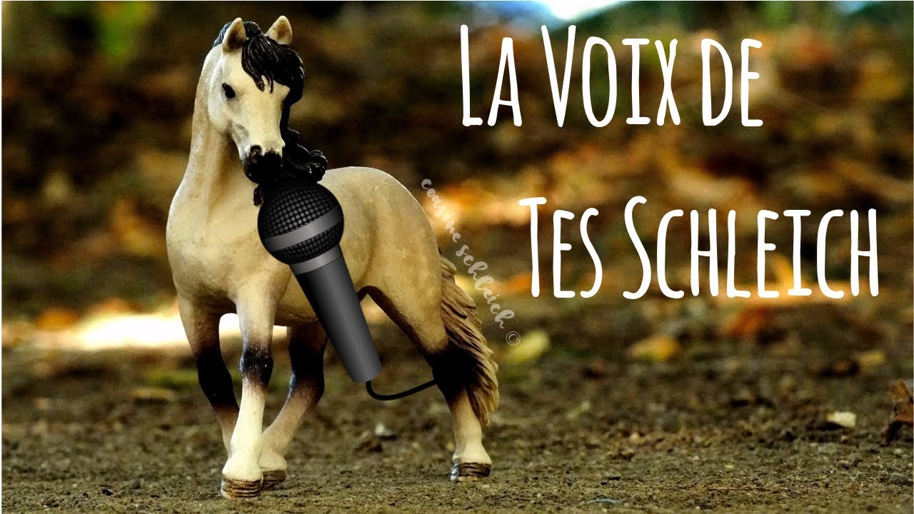[Manon] Tag | La Voix De Tes Schleich 2.0