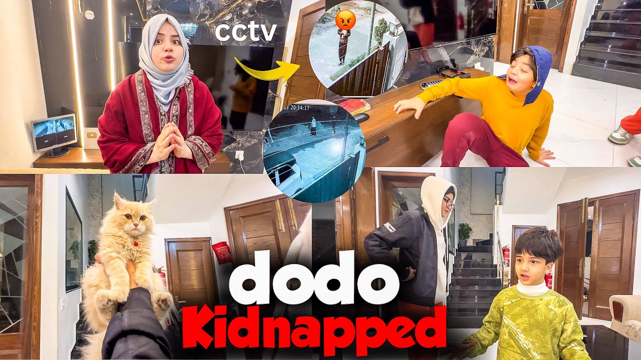 Who Kidnapped Our Kitten Dodo? 😱 CCTV Footage Se Chor Pakar Lia 💪🏻 | Rida Naqqash Extra