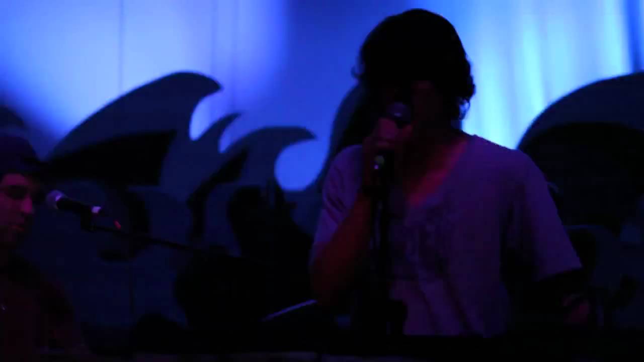 Animal Collective - 