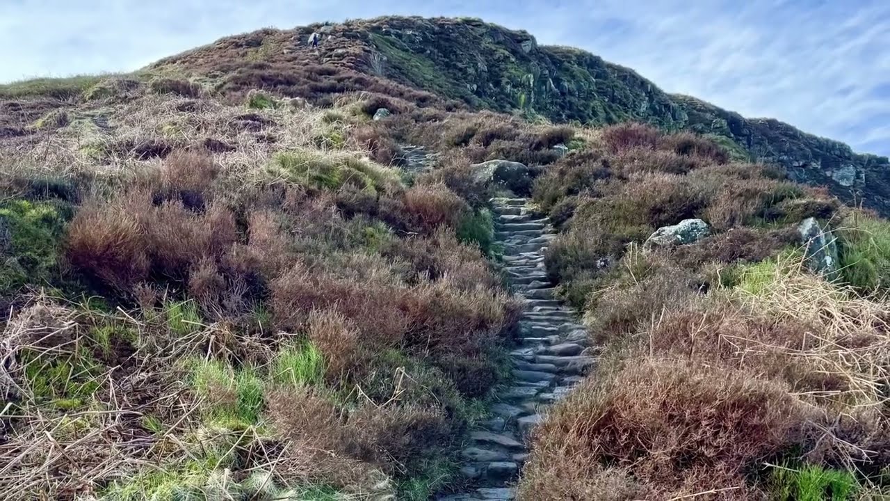 Cleveland 4 Peaks: White Hill, Cold Moor, Cringle Moor, Carlton Bank