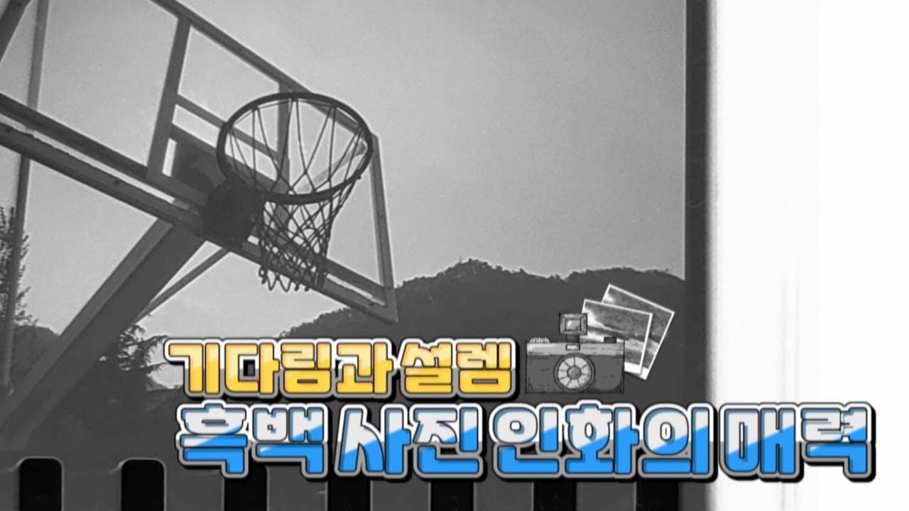 아날로그 감성 가득! 기다림과 설렘, 흑백사진 인화의 매력 / 강원365 / MBC강원영동 220705 방송