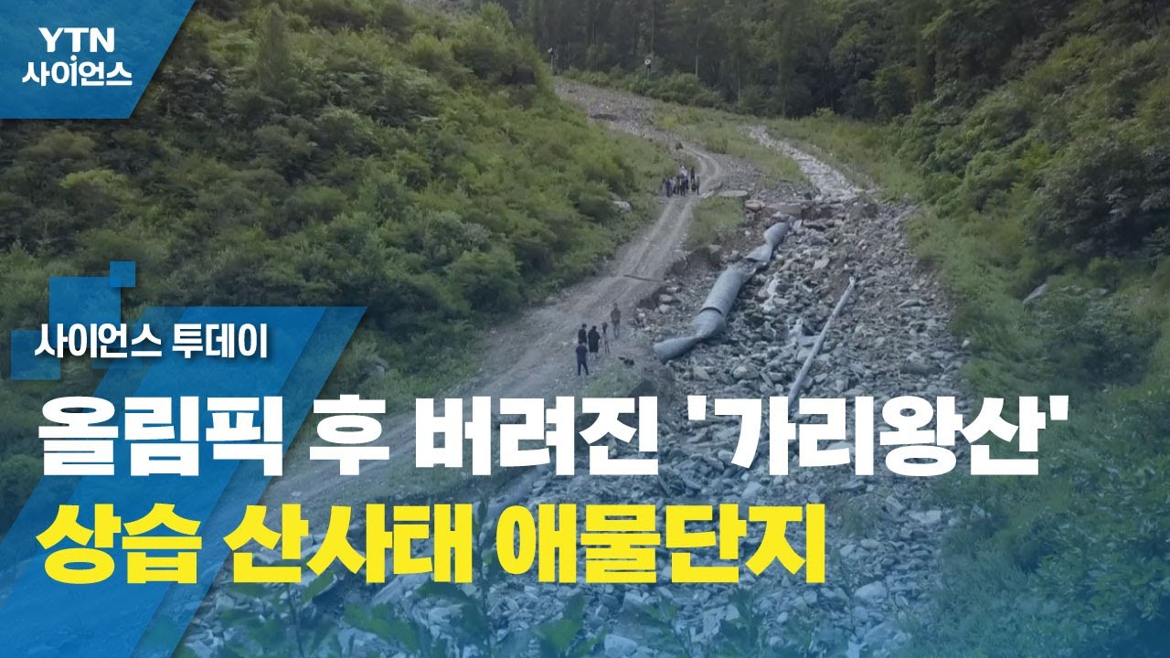 올림픽 후 버려진 '가리왕산'...상습 산사태 애물단지 / YTN 사이언스