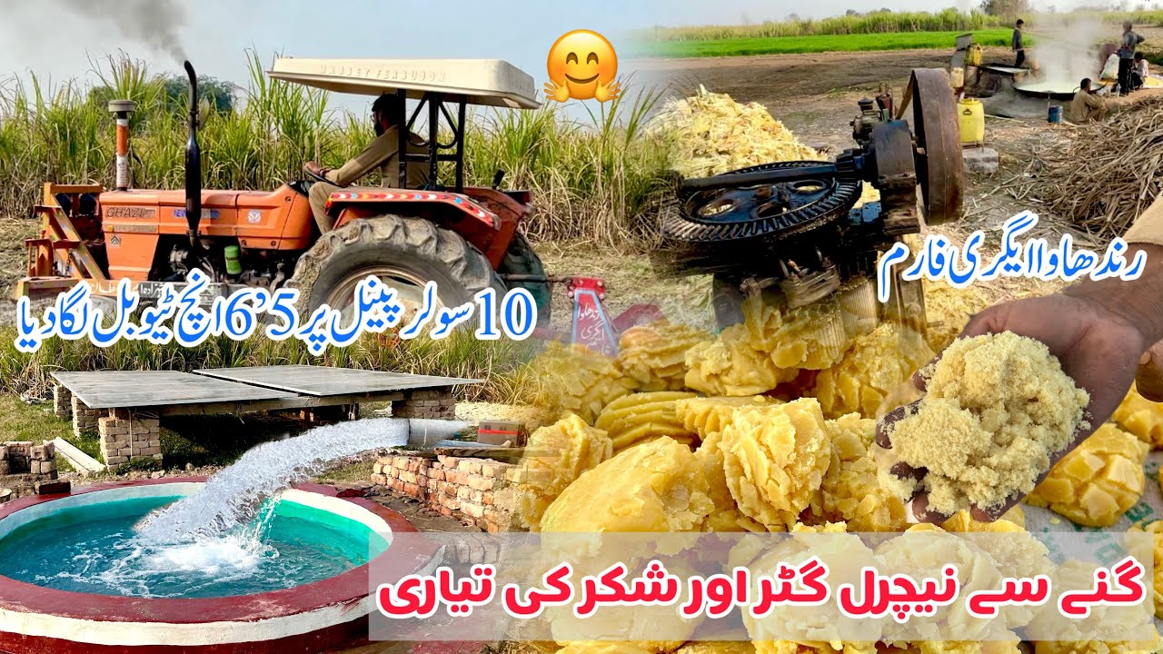 گنے سے نیچرل گڑ اور شکر بناتے ہوئے الغازی 65کی روٹاویٹر پر  پرفارمنس چیک صرف 10سولر پینل پر بڑا ٹیوب