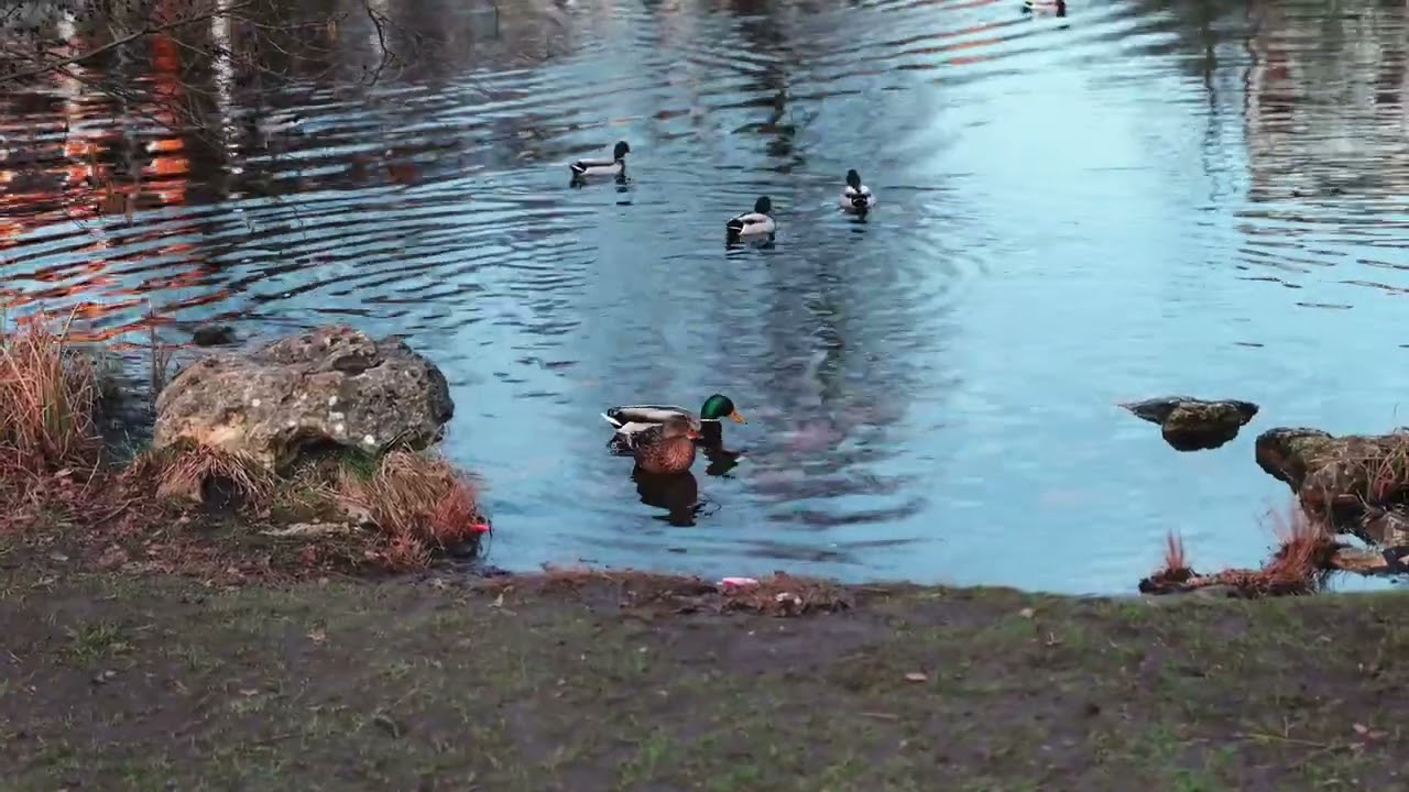 A Perfect Day at the Park | Spring Vibes