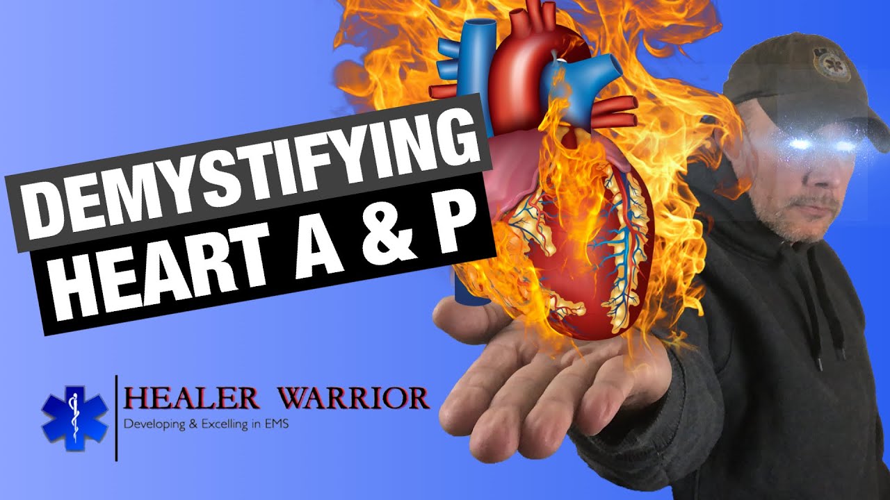 Heart Anatomy & Physiology for Beginners / #EMTstudent