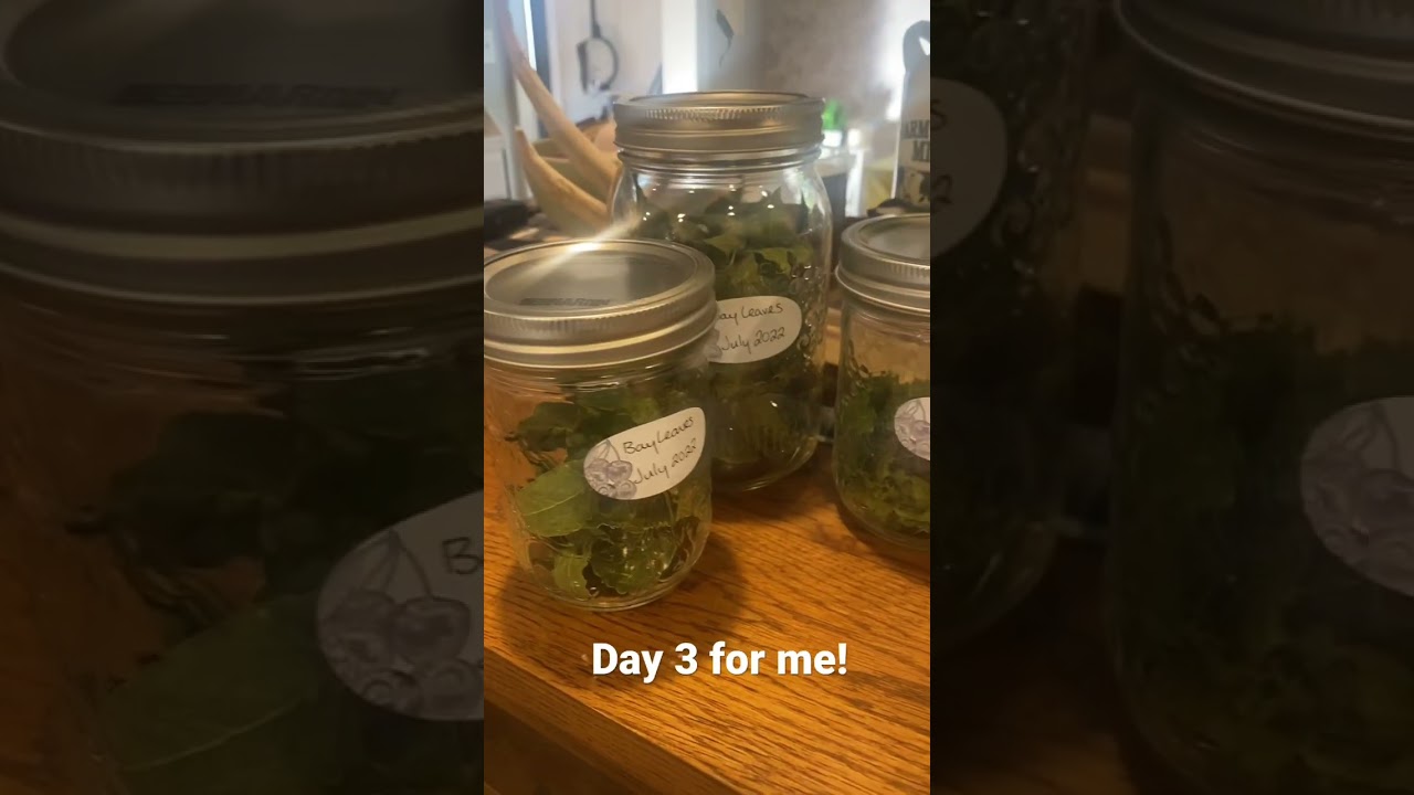 Dehydrating herbs for the #preservationchallenge