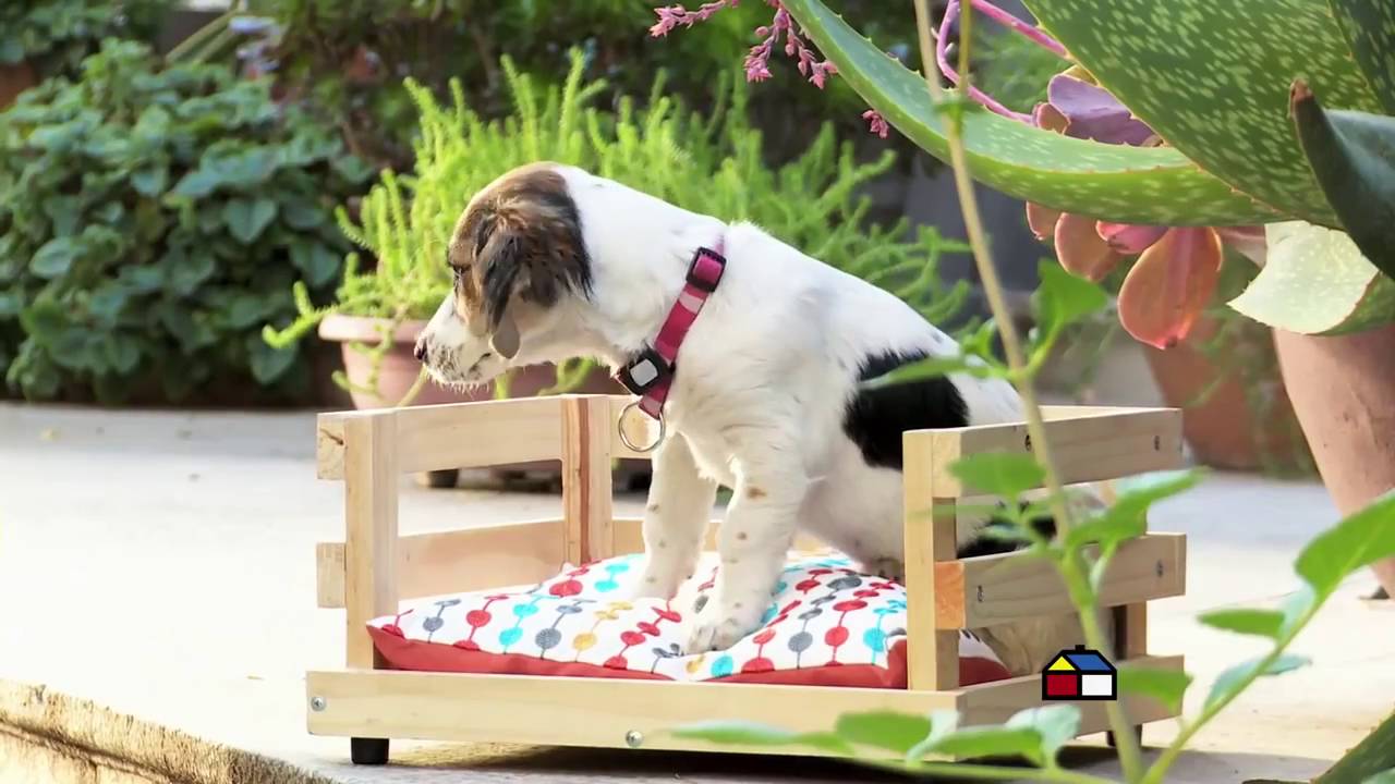 &iexcl;Una cama para tu mejor amigo! - Sodimac Homecenter Argentina