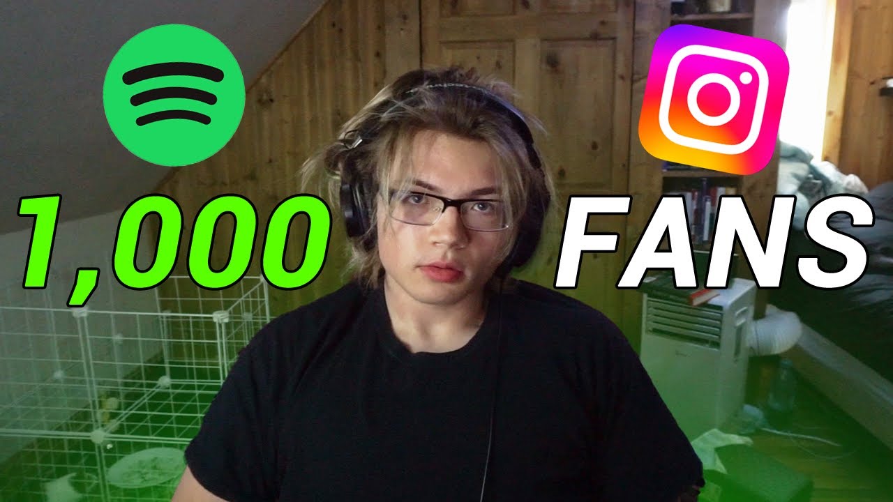 How To Build A Music Fanbase From Zero (1000 Fans In 30 Days)