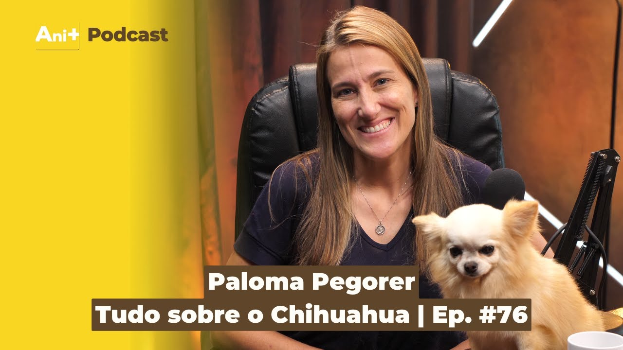 Ani+ podcast #76 - Tudo sobre o Chihuahua