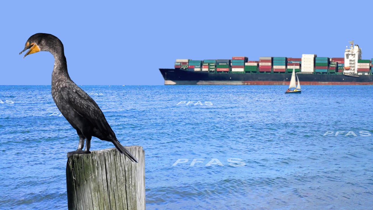 Take action on forever chemicals, PFAS