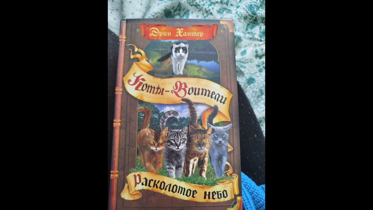 Коты воители Расколотое небо 1