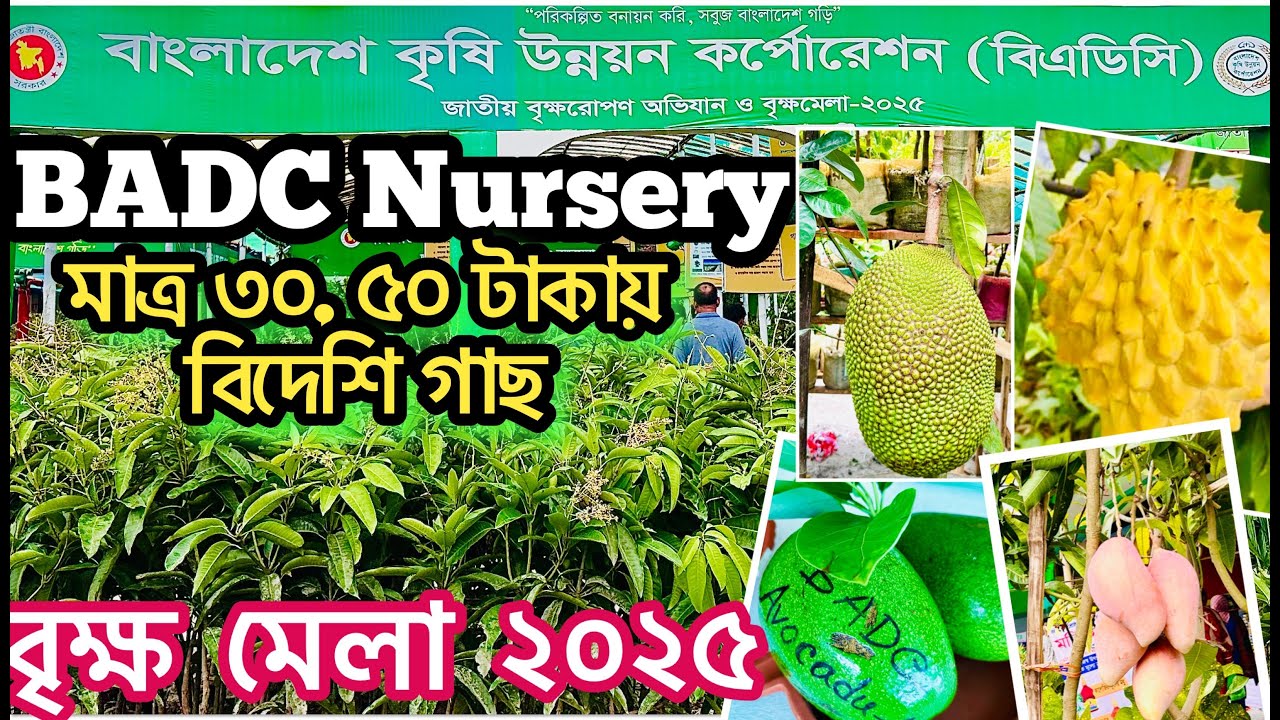 Brikkho Mela 2025 | বৃক্ষ মেলা ২০২৫ | BADC নার্সারি - সবচেয়ে কম দামে ফলের চারা | Tree Fair Dhaka