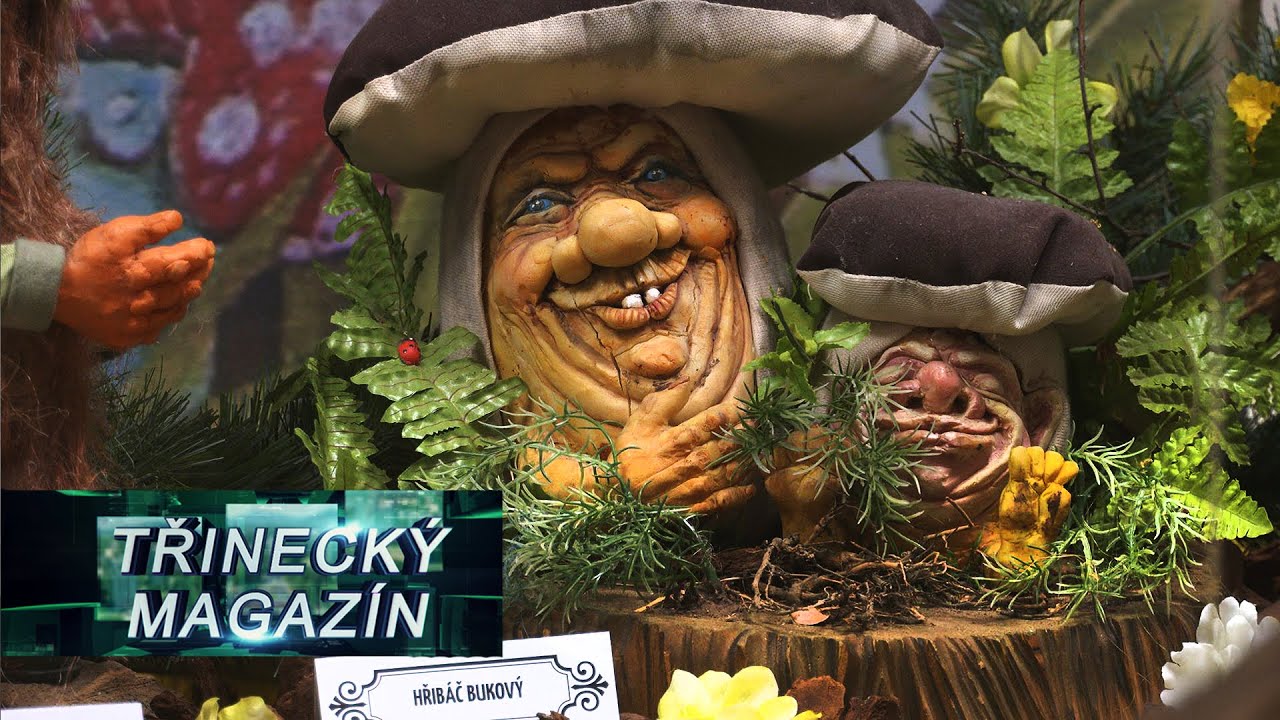 IFKTV - Třinecký magazín - 29.3.2024