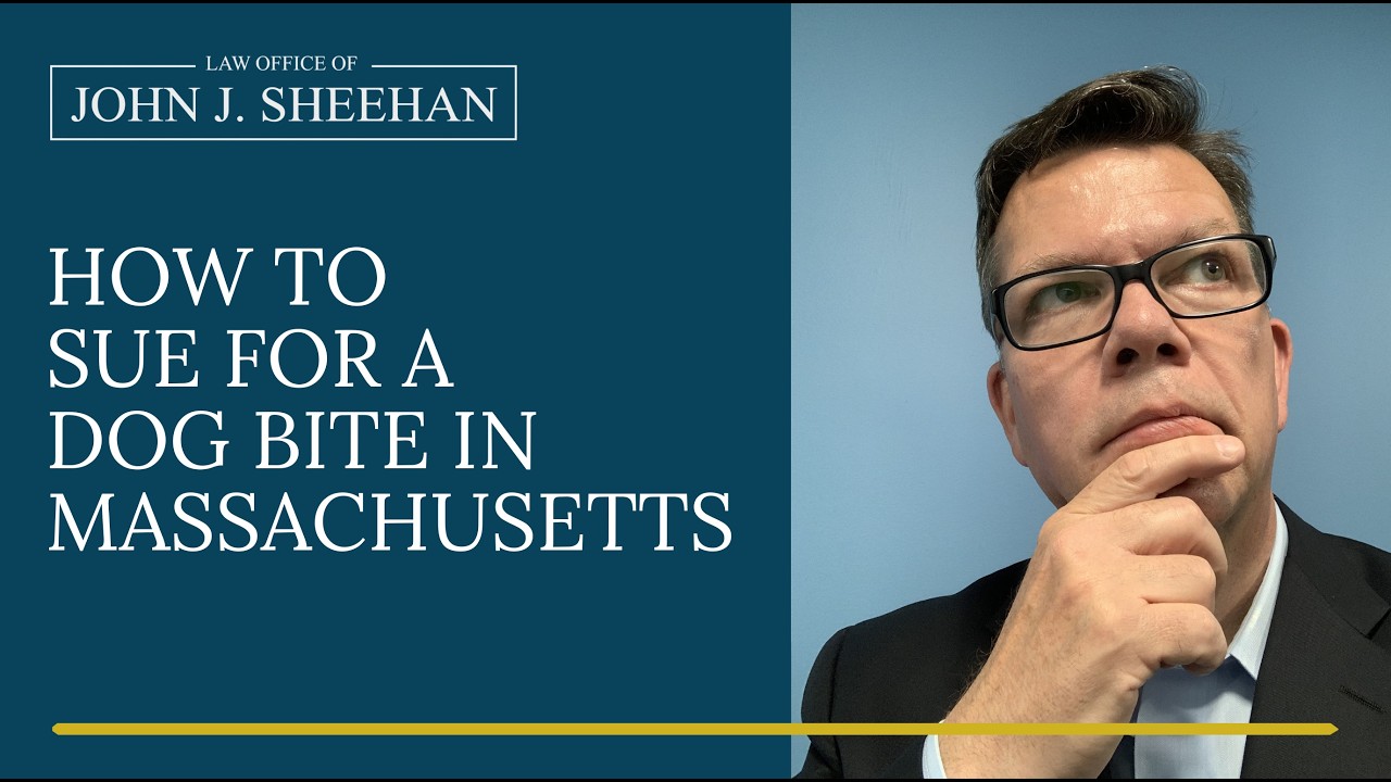 How to Sue for a Dog Bite Injury in Massachusetts