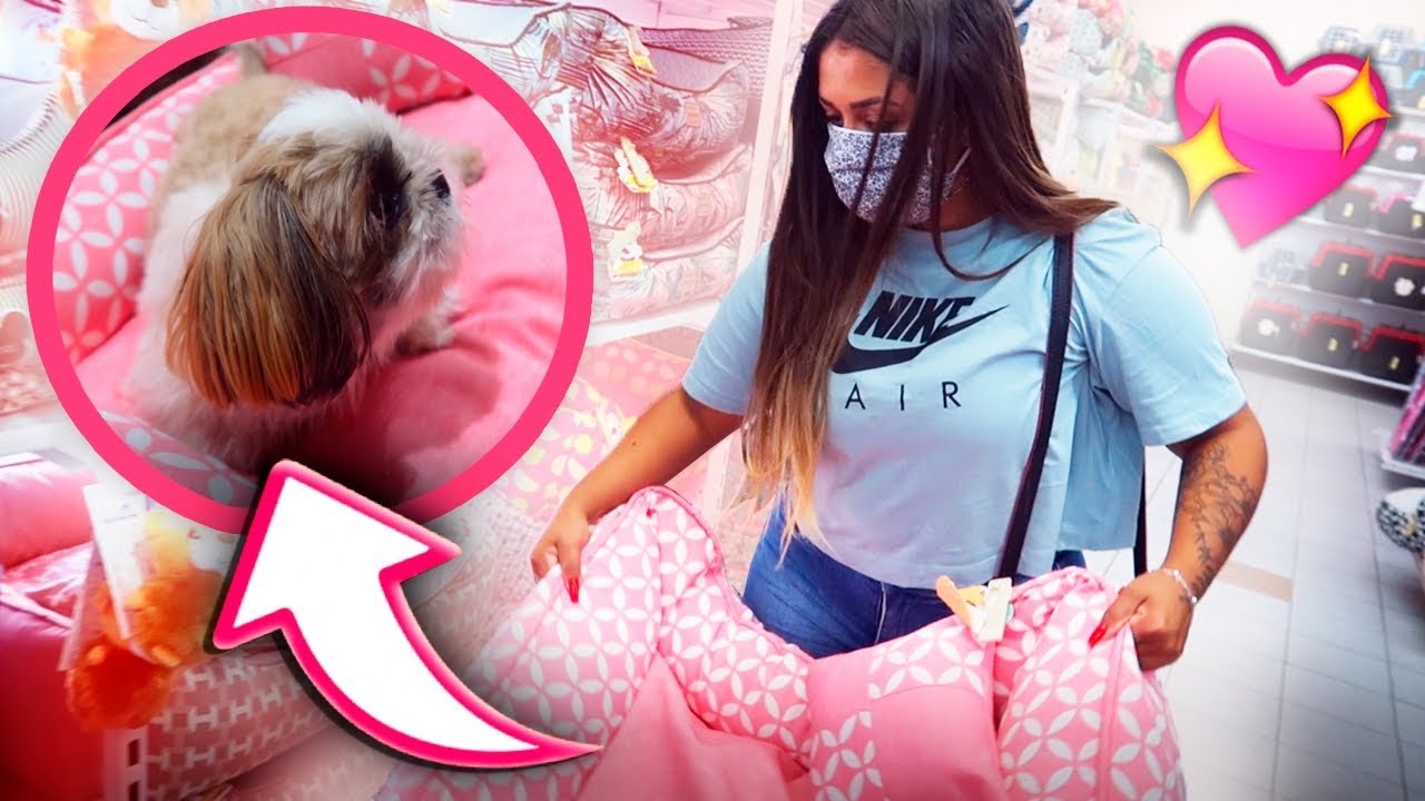 COMPRA DO MÊS *para minha cachorra*