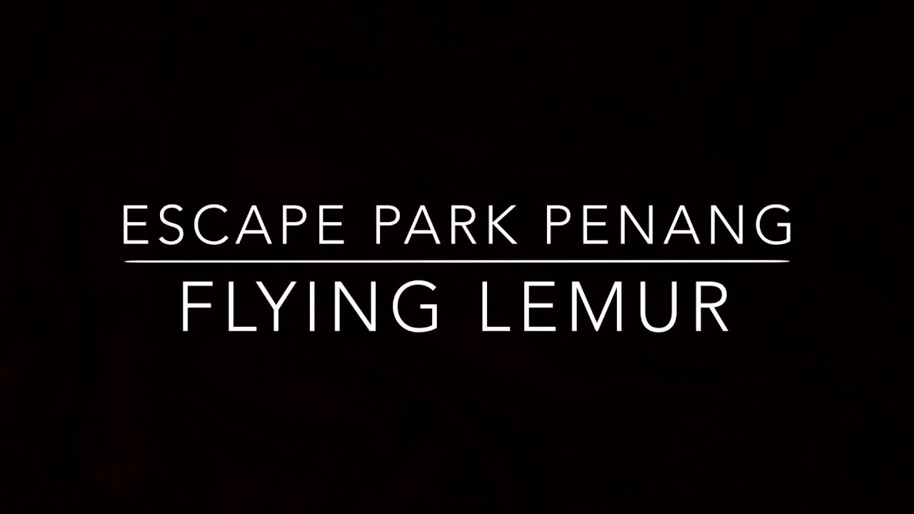 Escape Park Penang: Flying Lemur