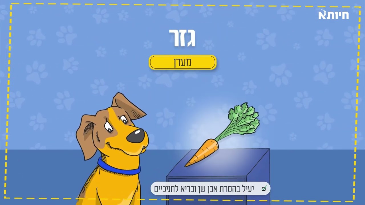 האם מותר לכלב שלי לאכול גזר?
