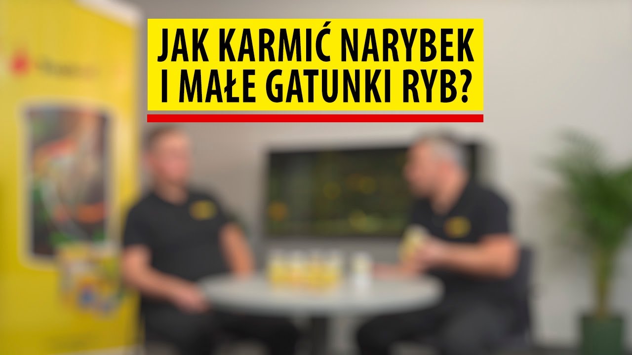TROPICAL | Jak karmić narybek i małe gatunki ryb? Odc. 3