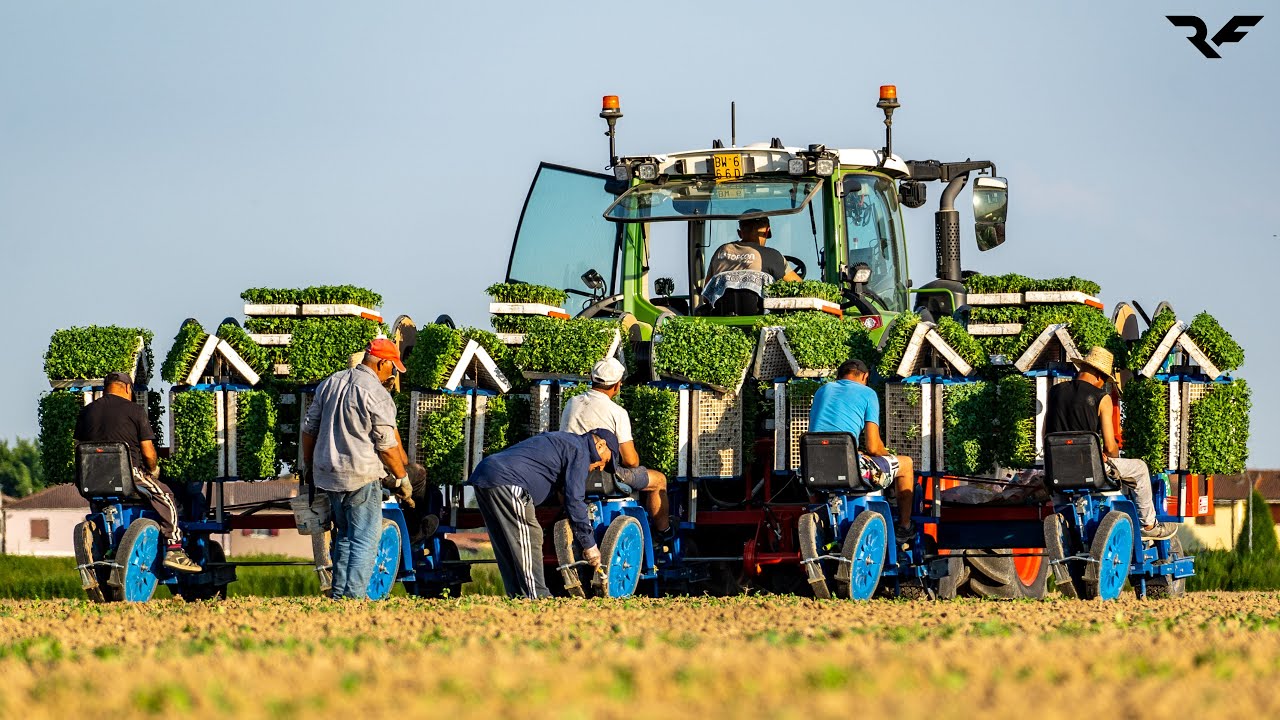 |Trapianto Pomodori 2024| Fendt Vario 314 Gen 4 & Ferrari S-Max 5 File| Defanti|