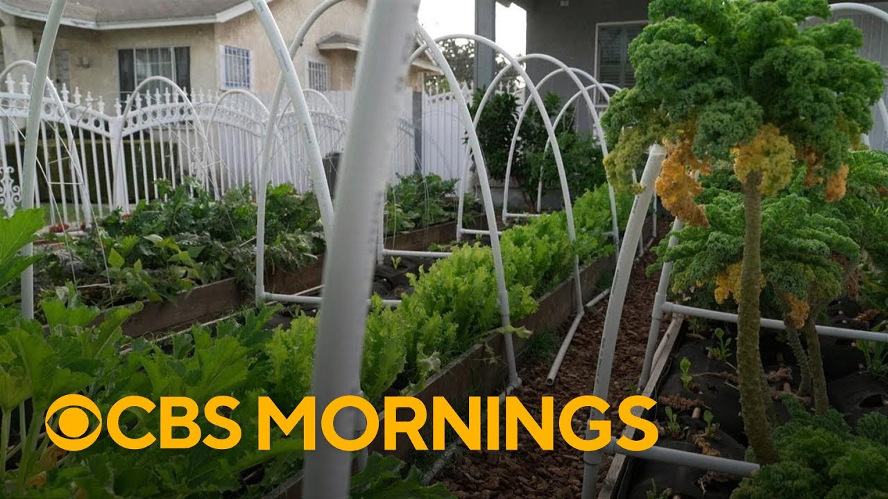 How a California organization transforms yards to feed communities